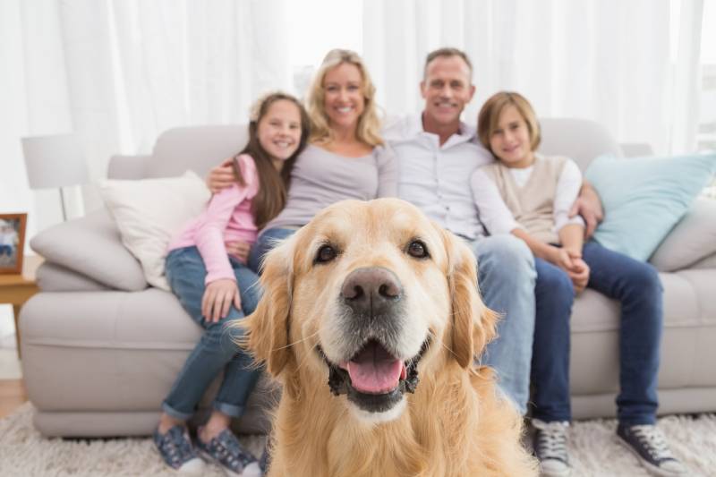 Family With Pets